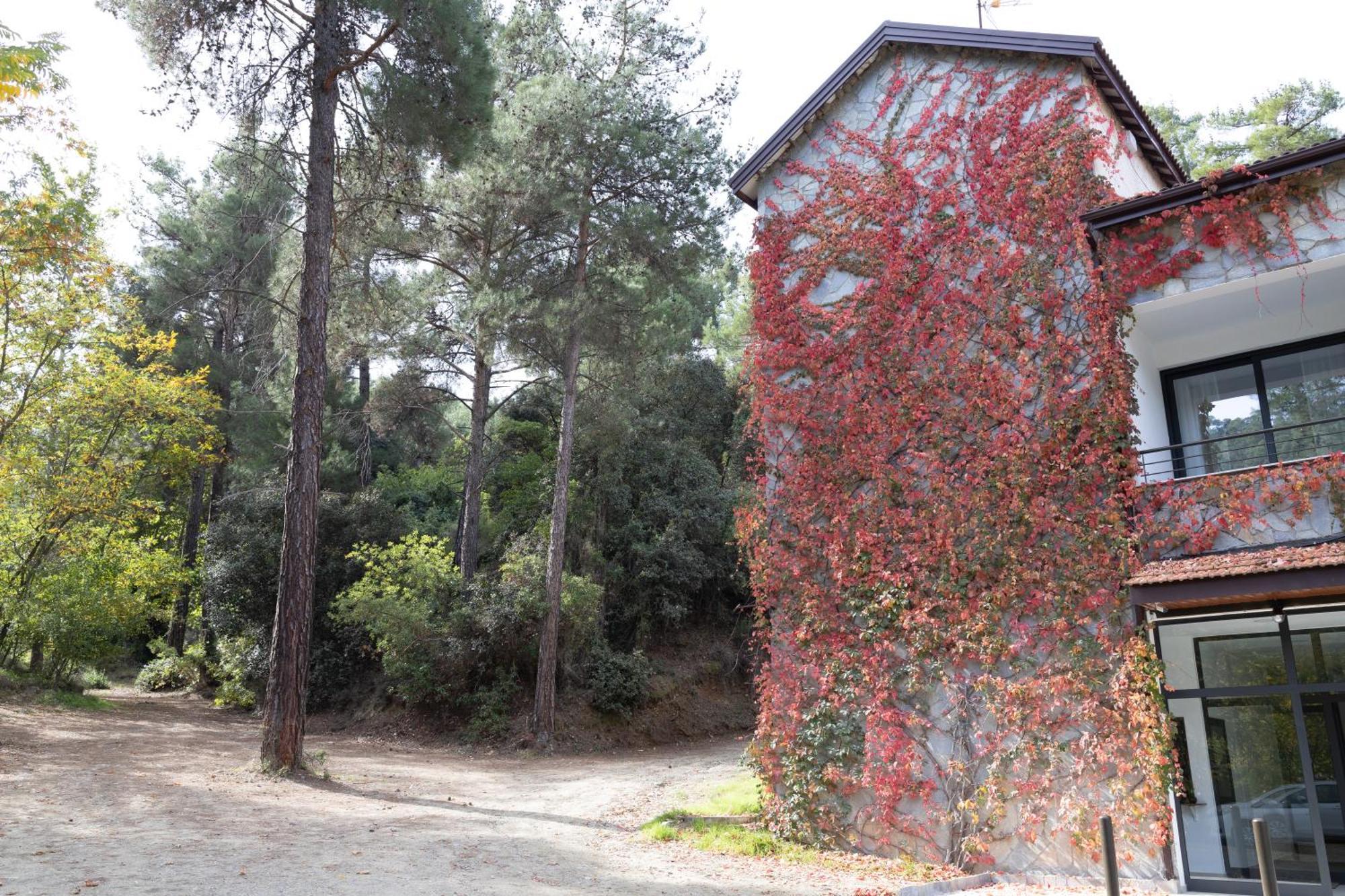קאקופטריה Rifugio Retreat Bed&Breakfast מראה חיצוני תמונה