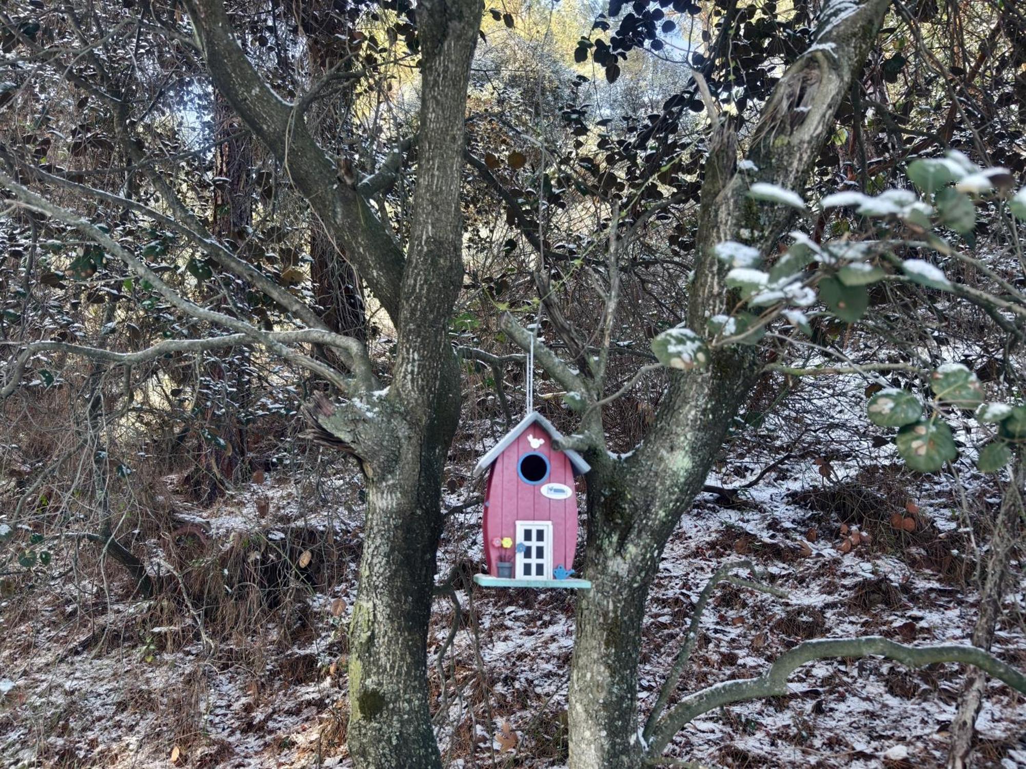 קאקופטריה Rifugio Retreat Bed&Breakfast מראה חיצוני תמונה