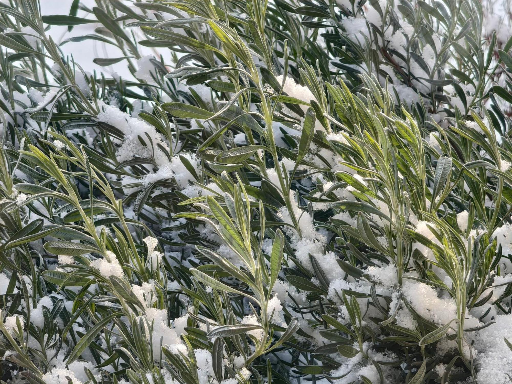 קאקופטריה Rifugio Retreat Bed&Breakfast מראה חיצוני תמונה